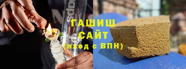 индика Новозыбков