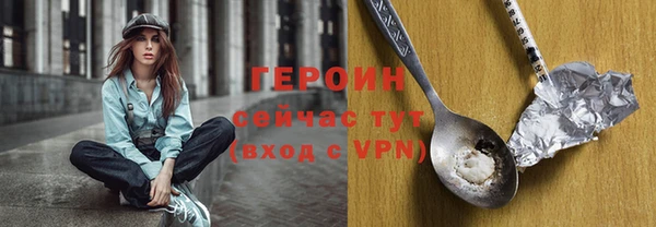 индика Новозыбков