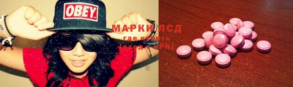 индика Новозыбков