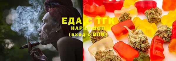 индика Новозыбков