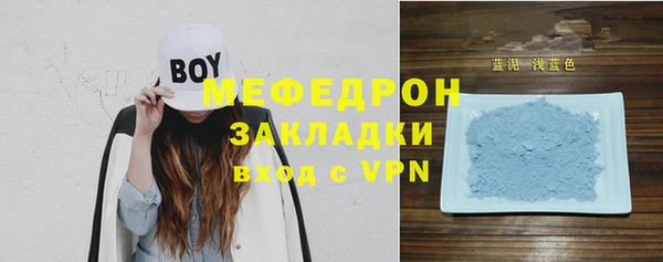 индика Новозыбков