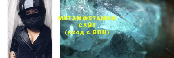 индика Новозыбков