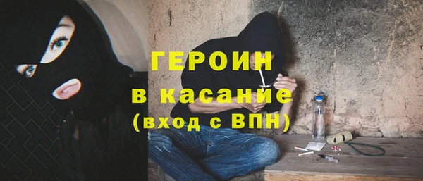 индика Новозыбков