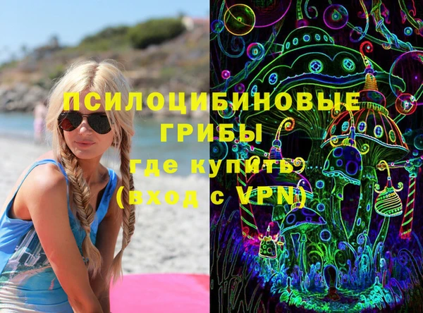 индика Новозыбков