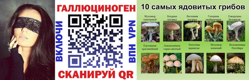 Галлюциногенные грибы ЛСД  Белореченск 