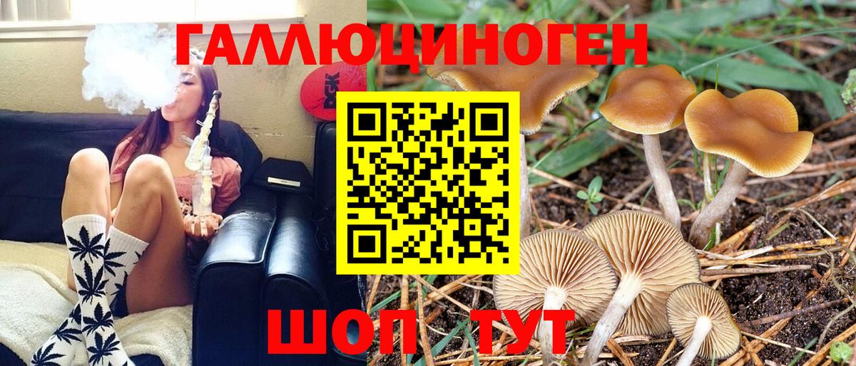 Галлюциногенные грибы прущие грибы Белореченск